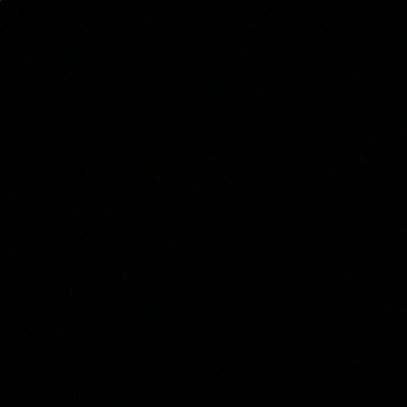 Meet your Posher, Jake - Picture 1 of 1